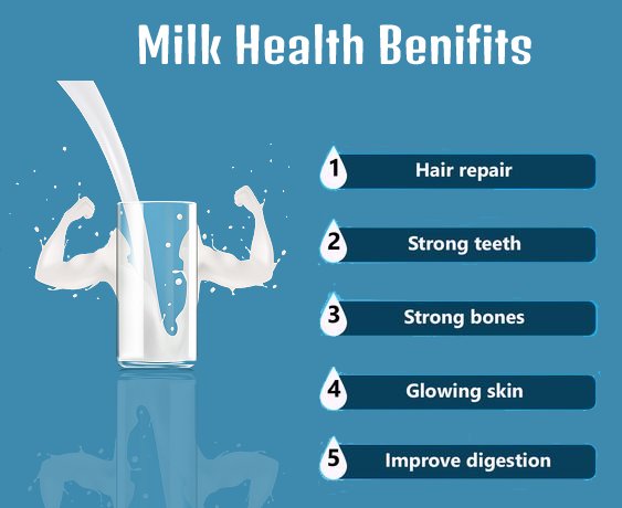 Cow Milk Benefits